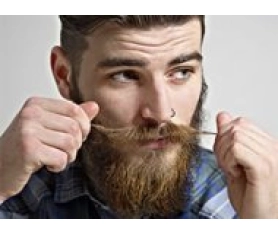 Модная борода, 5 самых популярных бород сайта Wikibeardia